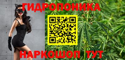 гидропоника Донской